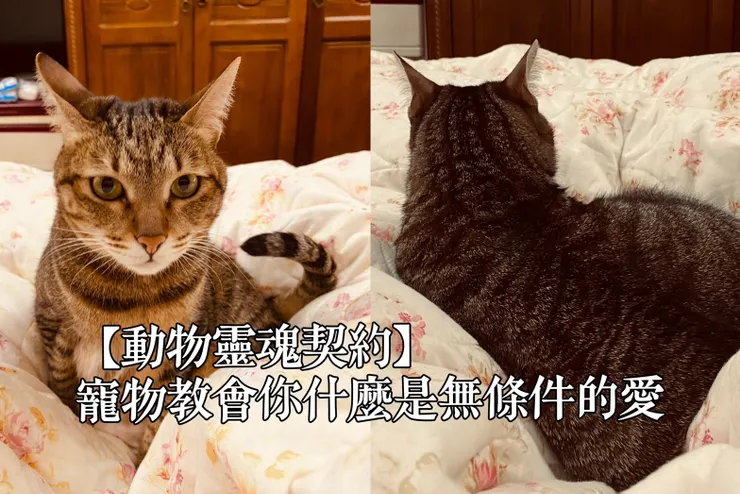 圖片來源:愛鈴(ig@eileen.ginsui)