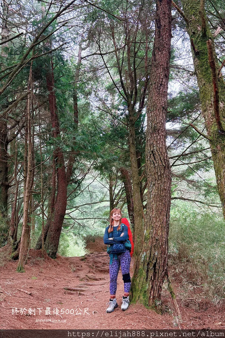 【大霸群峰4百岳。兩天一夜】觀霧大鹿林道東線騎越野單車/馬達