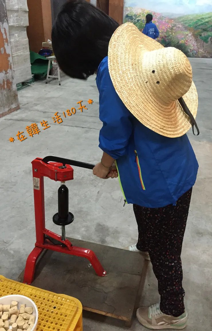 製作屬於自己的葡萄酒