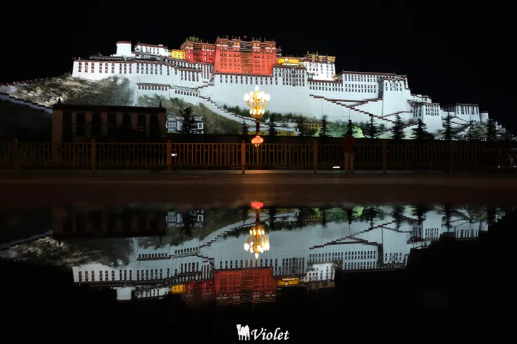 布達拉宮夜景