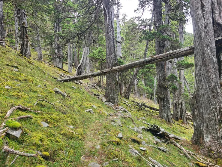 卸大背，輕裝探訪中翠池