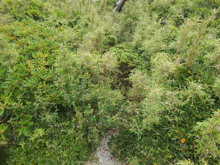 路徑明確