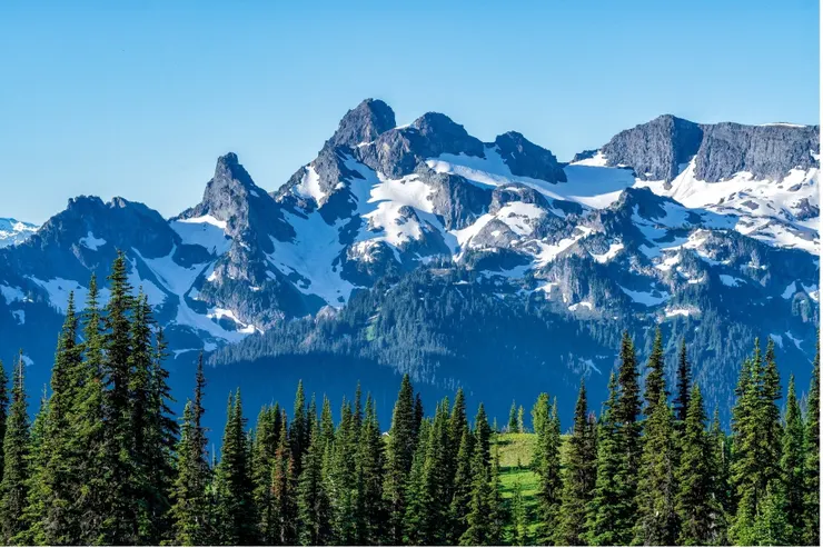 當孝心與自然相衝突我們該如何選擇