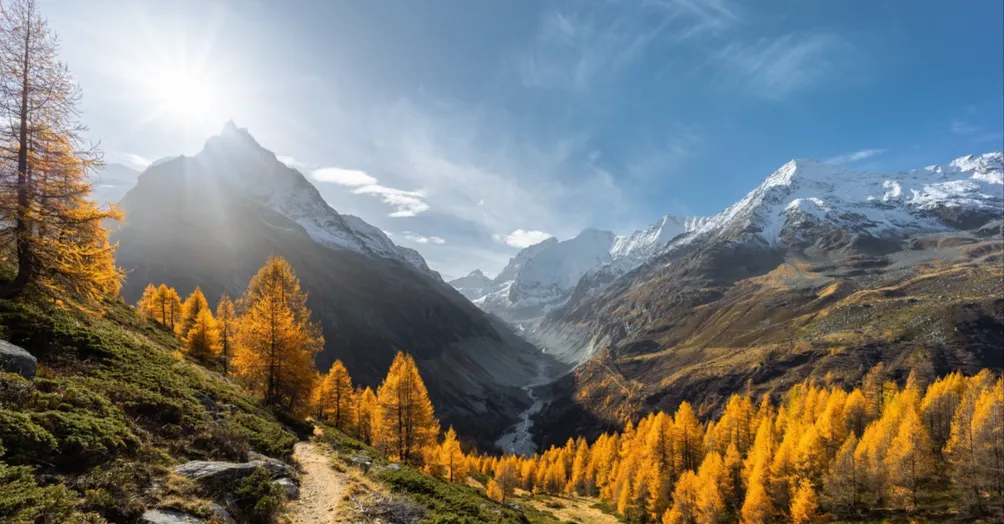 Autumn的美股投資