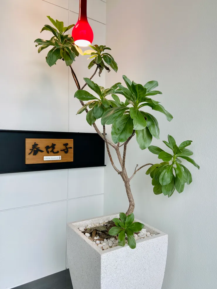 ▲ 以老婆名字「春」為民宿命名，一切源自老闆對妻子的愛