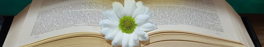 林格倫生活實踐Lindgrenfan的沙龍