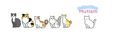 « 一本關於選擇性緘默的父母學 »