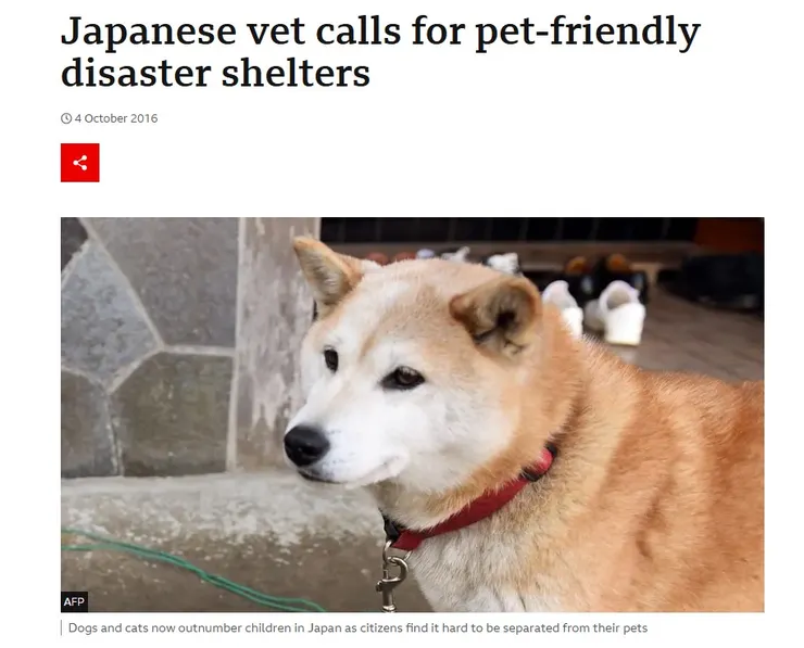 Japanese vet calls for pet-friendly disaster shelters