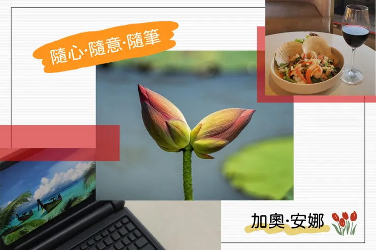 Created by : 加奧·安娜