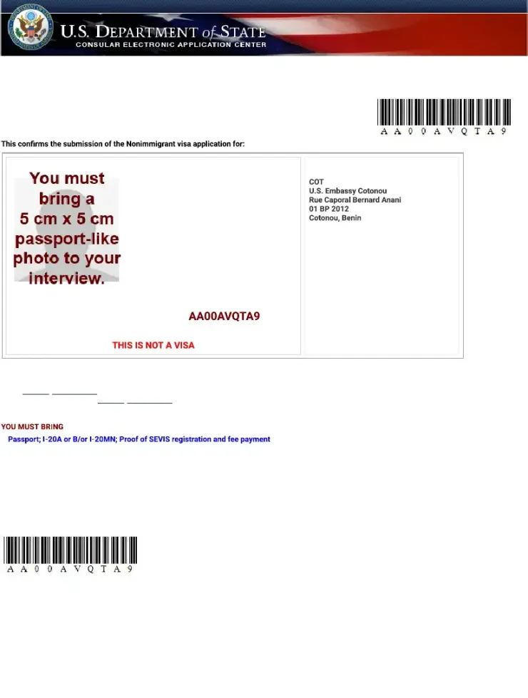 DS-160確認頁樣本 (圖源 : SCRIBD網頁)