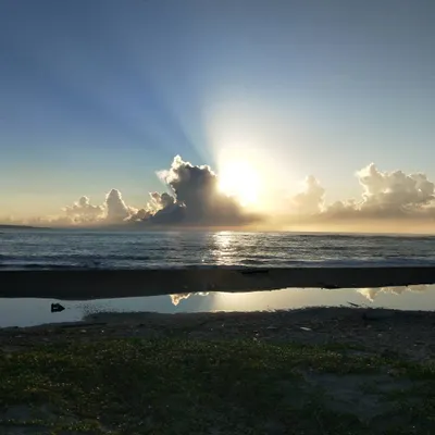 人生選擇的沙龍