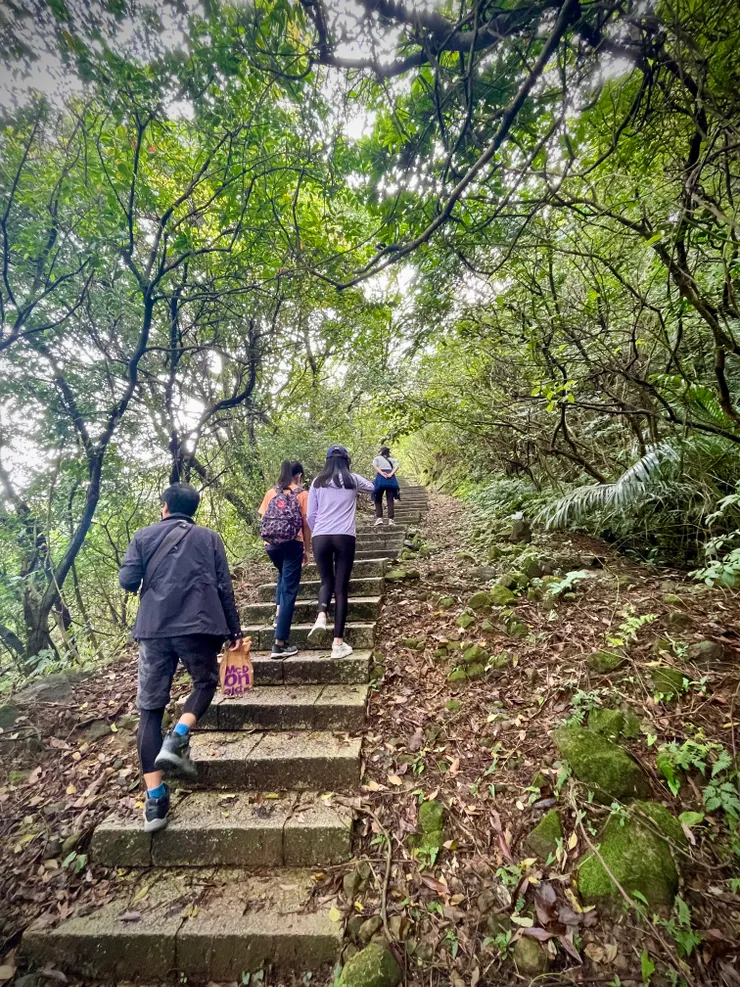 林蔭下的平緩石階步道