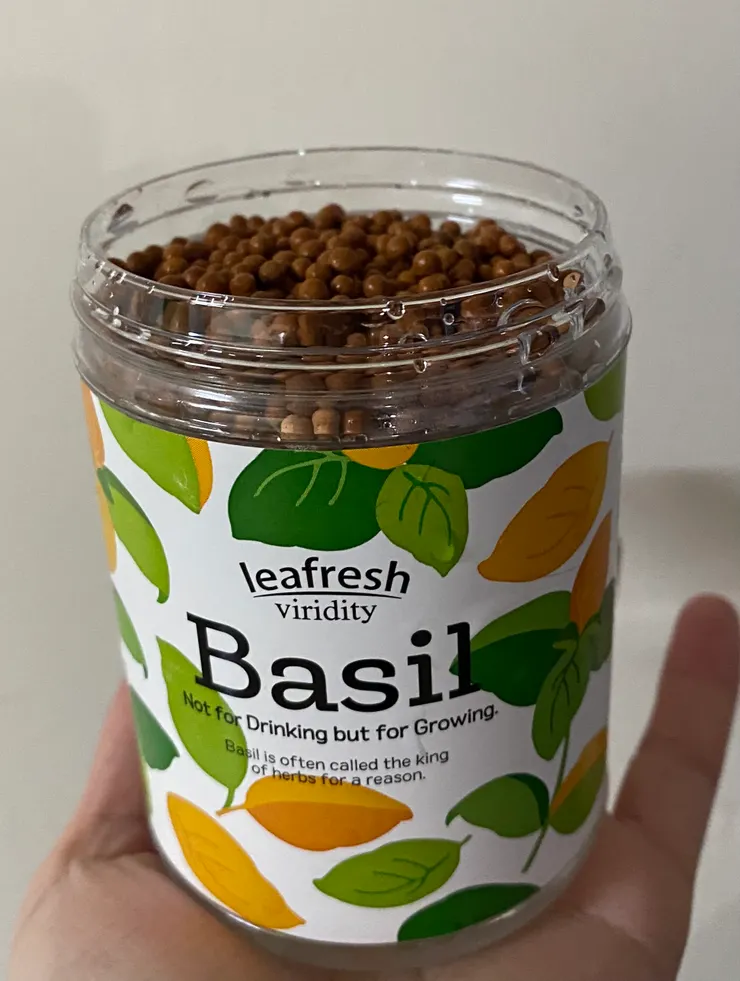 第一天（2/5/2023）