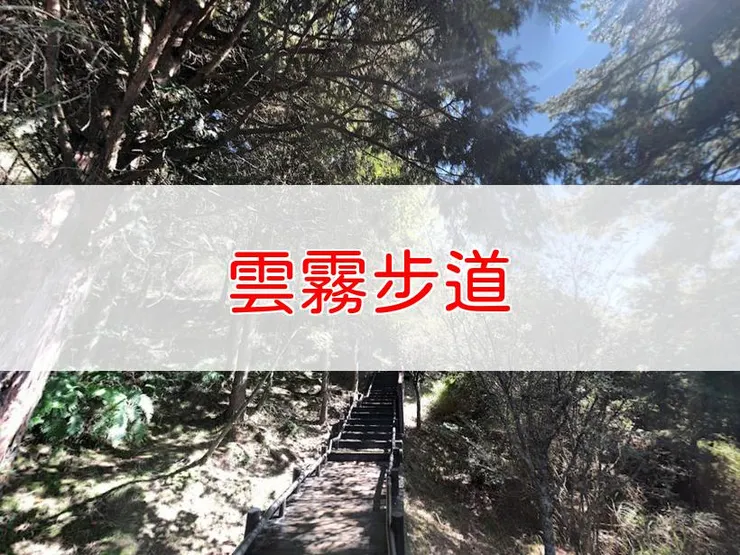 【新竹】雲霧步道 | 全長里程：0.85公里 | 難易度：低