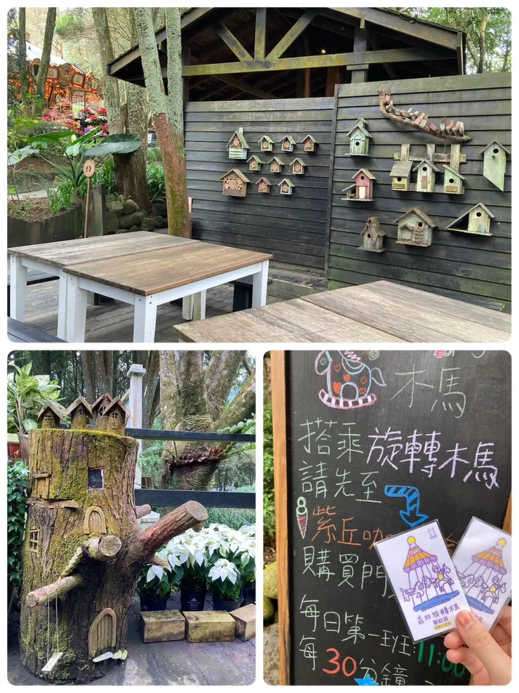 可以體驗旋轉木馬喔