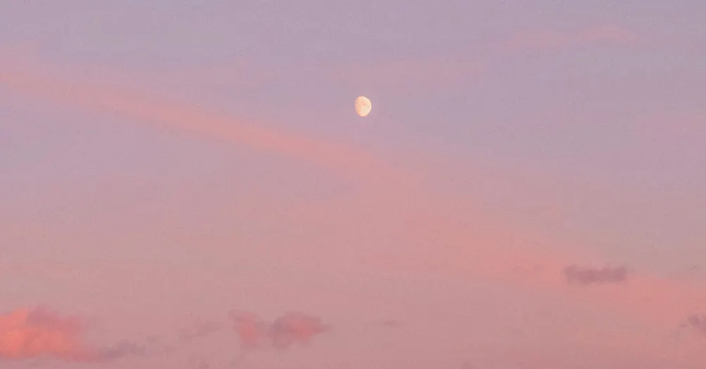 拎起耳朵向前走