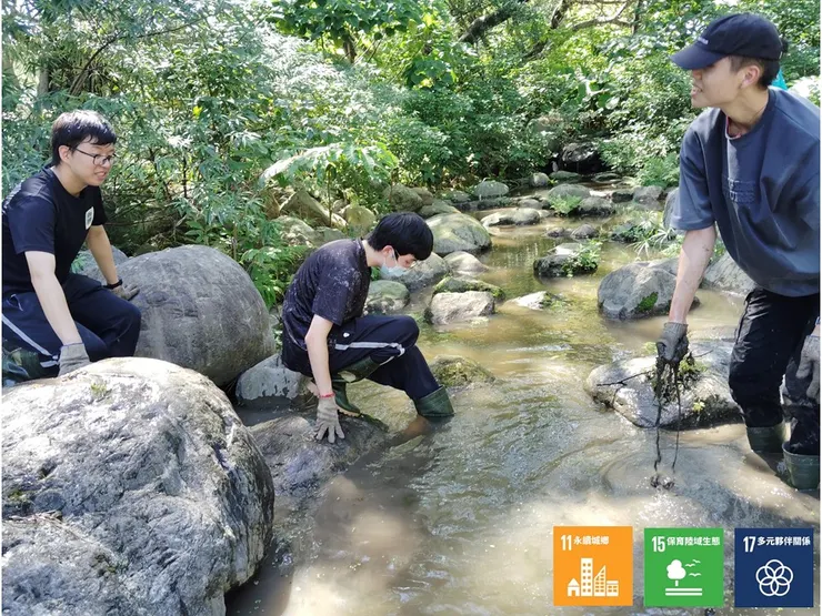 撈除漂流水面殘莖斷梗的陽明夥伴,同時也將石縫間的植叢根盤做些較「細部」的清理與疏通