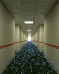 嘿嘿嘿18+小說;)