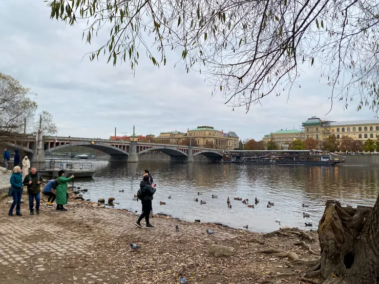 映入眼簾的——在伏爾塔瓦河上的橋是「馬內斯橋」(Mánesův most),兩端連結著城堡區與魯道夫音樂廳。