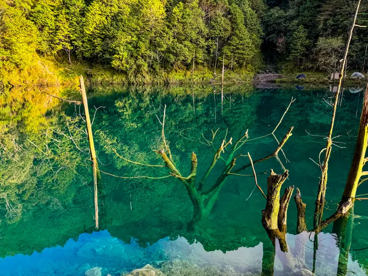 沒有預期池水會這麼乾淨~