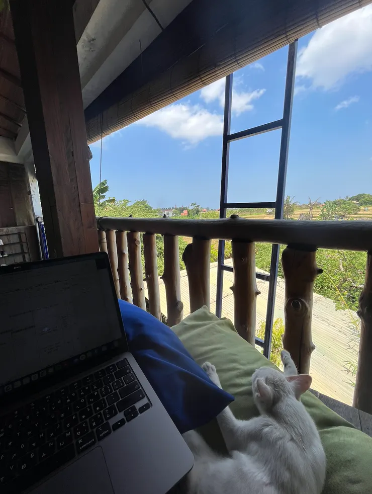 辦公前要確保噴妥防蚊液的 co-working space 有一隻很黏人的貓