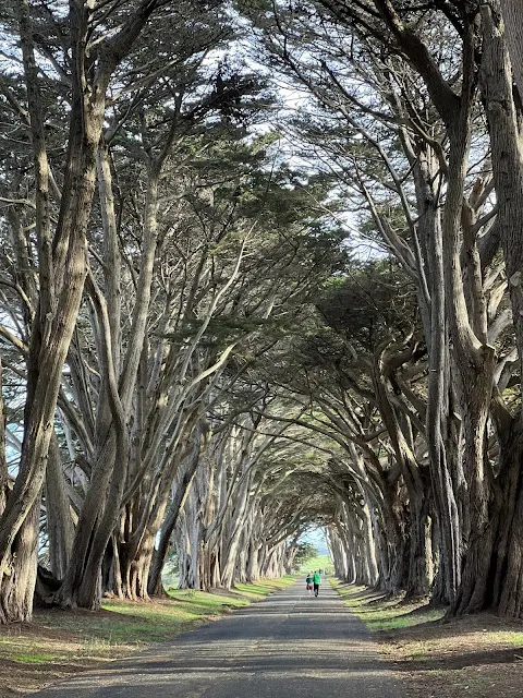 ▲前面一對夏日情侣, 短袖短裙超勇