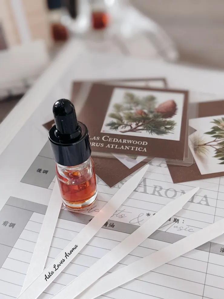 課程除了能夠嗅吸植物精油的美好香氣、以及欣賞植物精油美麗色澤，搭配植物小卡，也能認識植物