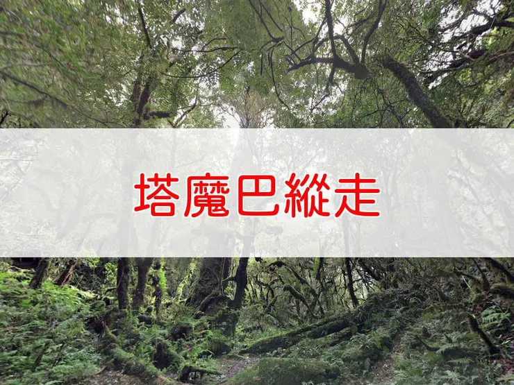 【新北】塔魔巴縱走(塔曼山、玫瑰西魔山、巴博庫魯山) | 全長里程:約17公里 | 難易度:中級