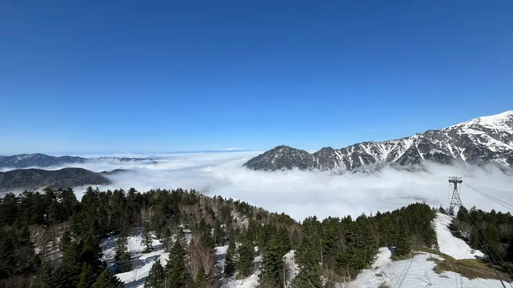 這時平均氣溫已經有5度左右。
