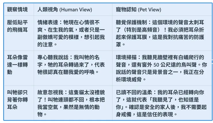 【貓咪聽覺過載與飛機耳真相：一場關於「噪音」與「情緒」的聲學對照表