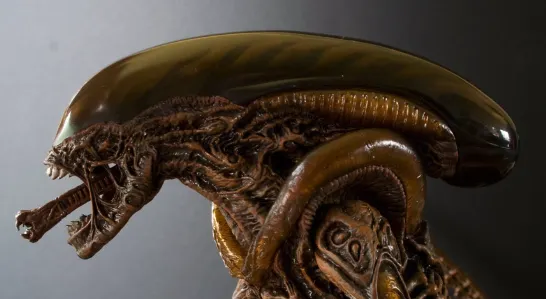 蛇合花的真正性器官是第二重的嘴