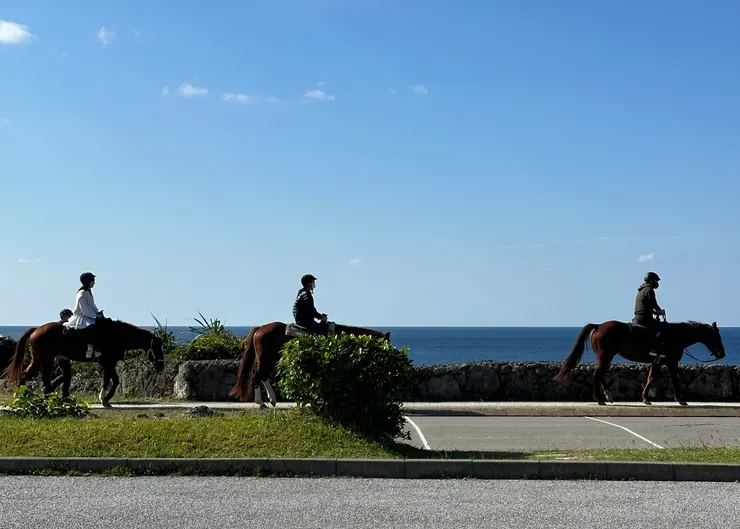 貞的可以有人在體驗騎馬