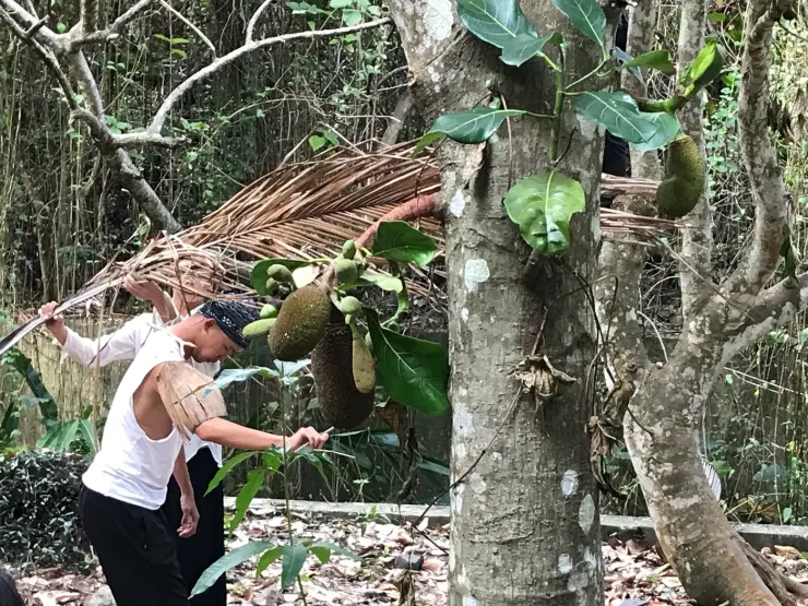 海洋之聲＿島嶼的氣息 山林場
