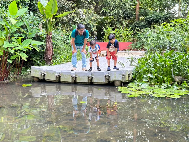 爸爸帶著孩子們觀察水中生物