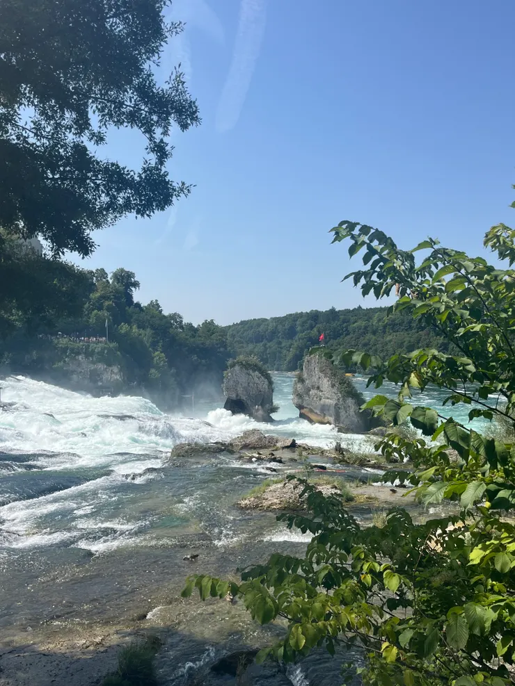 萊茵瀑布中間岩石