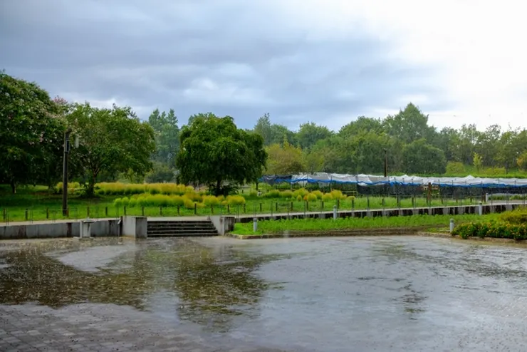 雨,雨天 (圖片來自Photo-ac)