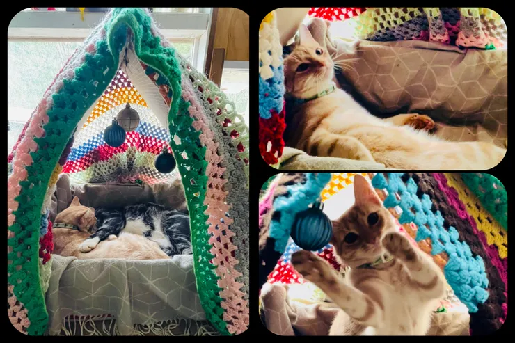 IG影片:不適應的Sunny