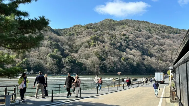 早上10:30的冬末暖陽，灑在毛茸茸的嵐山身上。