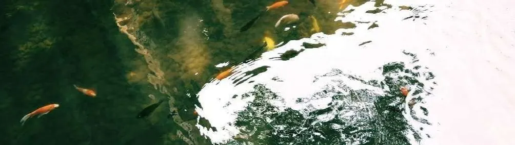 有一種永恆的沙龍