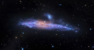 回到愛中365的沙龍