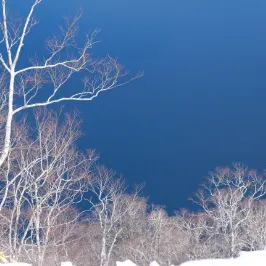 海與須彌的沙龍