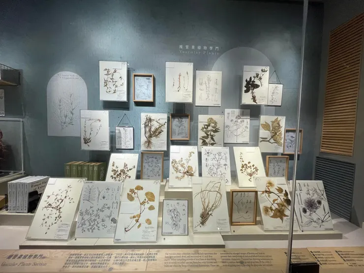 《科畫博物》特展 @台中科博館 by Ching