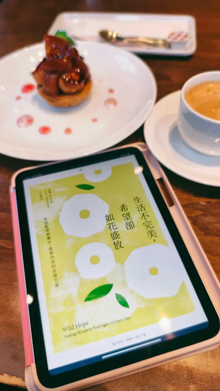 最近看完的是這本