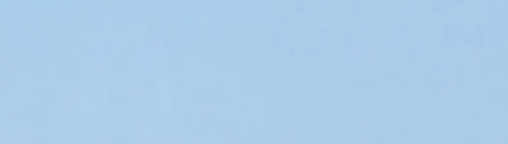 Weimen  Zheng的沙龍