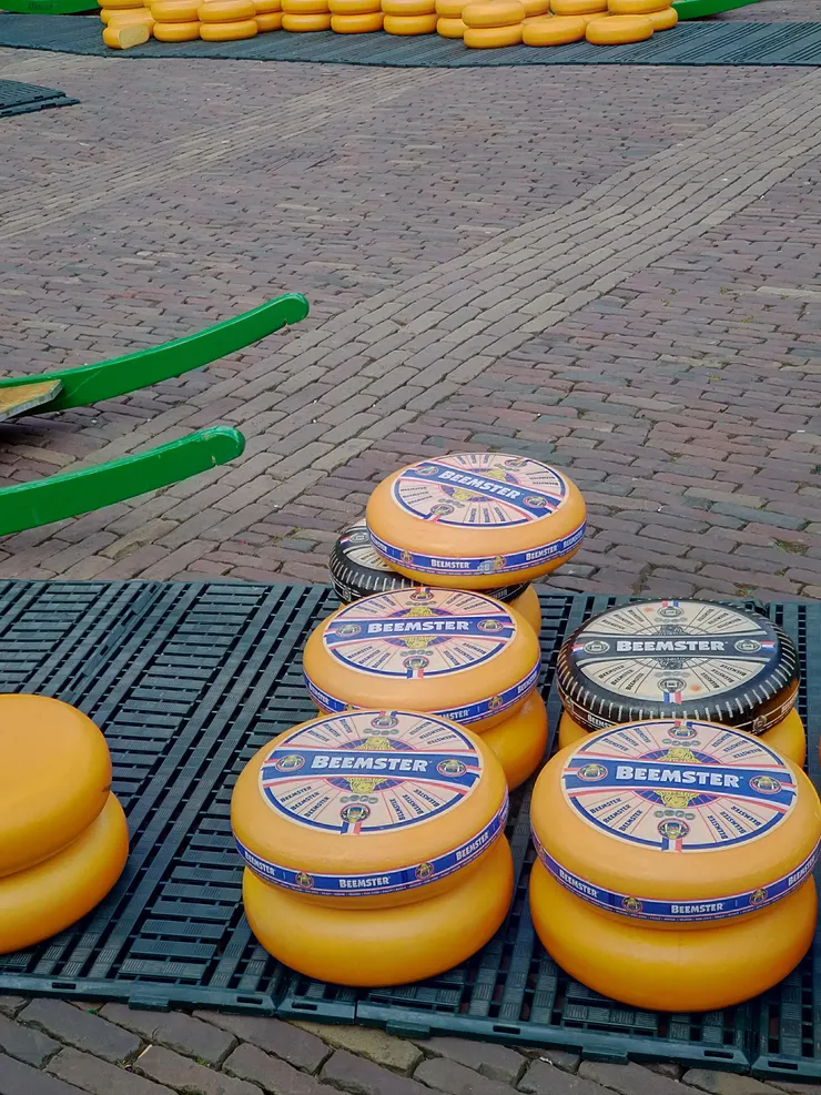 像不像黃色的車輪?一個重達12公斤