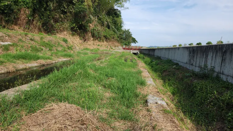 你看,真的有路啊~