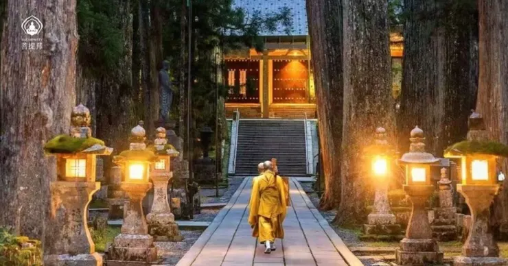 高野山奧之院參道,僧侶沿石燈籠步道靜靜前行
