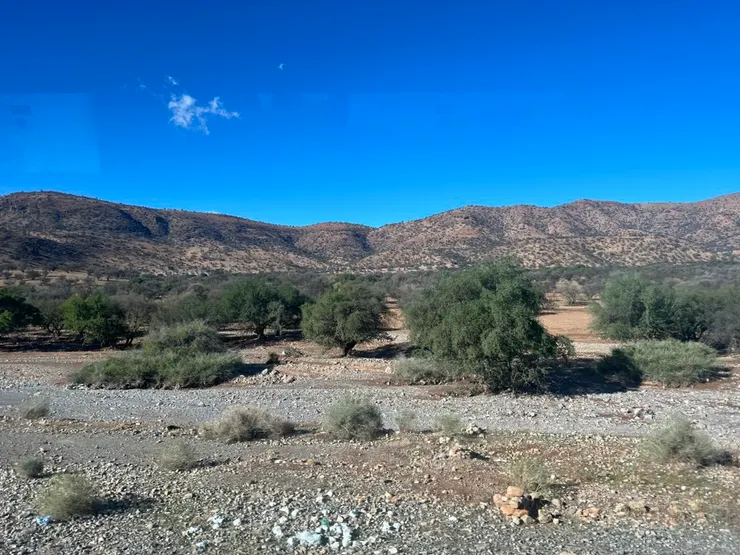 繞到西南方途經阿甘樹園區