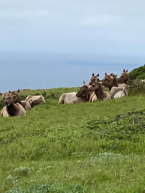 ▲強風中她們一動也不動