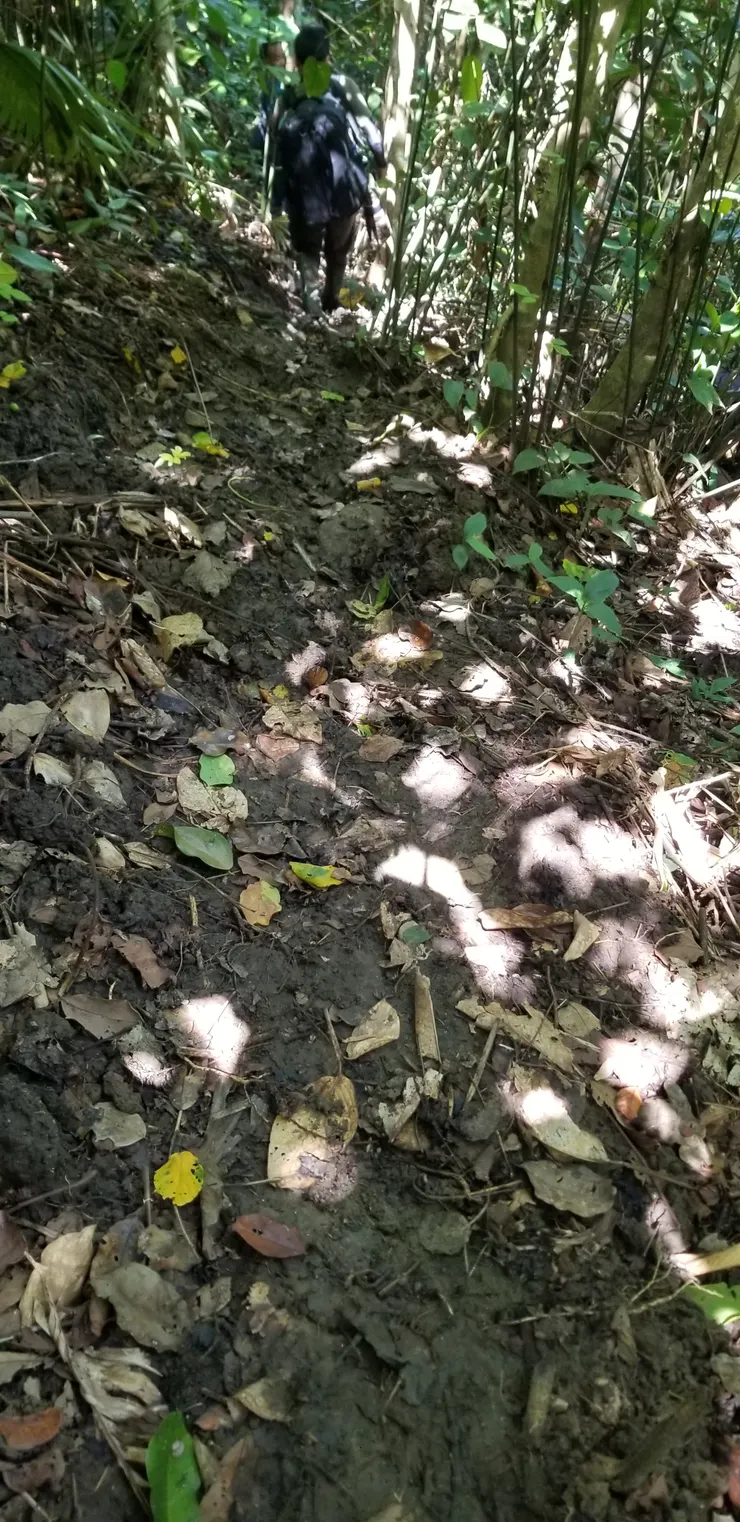 一路走過的泥濘路